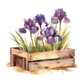Captivating Irises on Pot: Bring Nature Indoors with This Stock Photo AI Generated