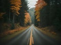 Autumn Country Road - Embarking on an Adventure through the Canadian Countryside.