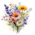 beautiful watercolor wildflowers bouquet with multiple flowersWatercolor for decoration Royalty Free Stock Photo