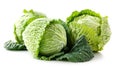 Discover the culinary possibilities of these pristine organic cabbages, a canvas for your culinary creativity, Ai Generated