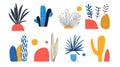 Discover dynamic motion graphic elements with tapered strokes and smooth animations for your design projects. Perfect for modern