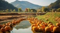 Discover The Enchanting Pumpkin Patch Near Niyama And Kamakura In Japan