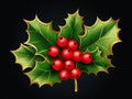 Enchanting Close-Up: The Crisp Winter Magic of Holly Leaf & Berries! Royalty Free Stock Photo