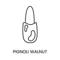 Discover the natural goodness and nutritional benefits of Pinoli through this minimalist line vector icon, highlighting