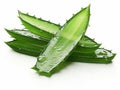 Discover the Refreshing Magic: Trio of Aloe Vera Juice Slices