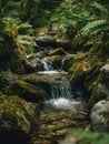 A Quiet And Secluded Spring Fed Watercourse Generative AI Royalty Free Stock Photo