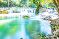 Discover the Serene Tropical Forest of Saraburi, Thailand