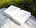 Discover the Serenity of Two White Books with Textured Hardcover in an Outdoor Mockup.
