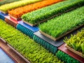 Discover a Stunning Array of Artificial Turf Types Colors and Textures Your Complete Synthetic Grass Sample Guide
