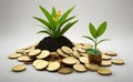 Investment concept, Gold coins with plant growing out of it. Royalty Free Stock Photo