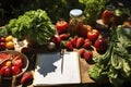 Sunlit Feast: Organic Produce on a Rustic Table. Generative AI Royalty Free Stock Photo
