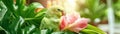 Discover a vibrant biodiverse region teeming with exotic animals, showcasing their unique and captivating characteristics Explore