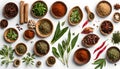 Malaysian Food - Herbal Essence: Culinary Harmony