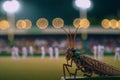 rafted worldSymphony of Crickets: Unreal Engine 5\'s Stunningly Detailed Festival