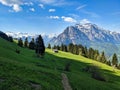 Discovered at the foot of the Fronalpstock mountain, this beautiful alp in the Glarus mountains. Morning sun. Netstal Royalty Free Stock Photo