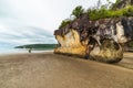 Discovering Bako National Park