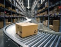 Discovering a seamless logistics process in a warehouse with a focus on a single package on a conveyor belt Royalty Free Stock Photo