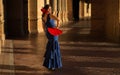 The flamenco dancer with the red fan in the sunset light