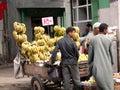 11/11/2015,Cairo, Egypt, street vendors of fresh bananas o
