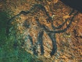 Discovery of human history. Prehistoric art of mammoth in sandstone cave