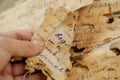 Discovery of old documents, letters of past centuries or paper manuscripts in unknown language, spoiled by time. Royalty Free Stock Photo