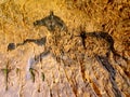 Discovery of prehistoric paint of horse in sandstone cave. Spotlight shines on historical human painting