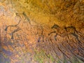Discovery of prehistoric paint of horse in sandstone cave. Spotlight shines on historical human painting