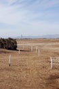 Discovery trail markers at The CiÃÂ©nega de Santa Clara, Mexico