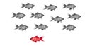 Discrimination concept - goldfish swim discriminating a different colored fish Royalty Free Stock Photo