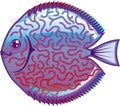 Discus Aquarium fish vector Royalty Free Stock Photo