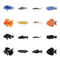 Discus, gold, carp, koi, scleropages, fotmosus.Fish set collection icons in black,cartoon style vector symbol stock