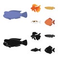 Discus, gold, carp, koi, scleropages, fotmosus.Fish set collection icons in cartoon,black style vector symbol stock