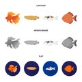 Discus, gold, carp, koi, scleropages, fotmosus.Fish set collection icons in cartoon,flat,monochrome style vector symbol