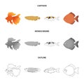 Discus, gold, carp, koi, scleropages, fotmosus.Fish set collection icons in cartoon,outline,monochrome style vector