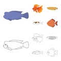 Discus, gold, carp, koi, scleropages, fotmosus.Fish set collection icons in cartoon,outline style vector symbol stock