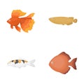 Discus, gold, carp, koi, scleropages, fotmosus.Fish set collection icons in cartoon style vector symbol stock