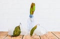 Diseased plant leaves and plastic debris.