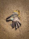 Disgarded Rigger Glove Lies In The Sand At Low Tide