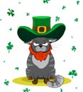 Disgruntled Cat dressed as a leprechaun. Poster St. Patrick`s Day