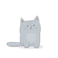 Disgruntled cat icon