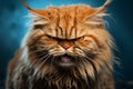 A disgruntled cats negative emotions shine through in its furious expression Royalty Free Stock Photo
