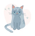 Disgruntled and frustrated cat. Cute and funny upset gray kitten. Can be used for printing on t-shirts, postcards