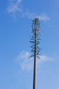 Disguised mobile phone tower Royalty Free Stock Photo