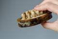 Disgusting fungus on woman wooden massage brush. Close up. House cleaning concept