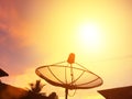 The dish antennas under sky satellite Royalty Free Stock Photo