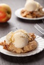 Dish of apple crisp with ice cream Royalty Free Stock Photo