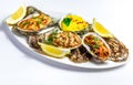 Dish with baked oyster shell cheese, salad oysters, served green Royalty Free Stock Photo