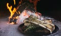 Dish of bone marrow roasted in a rustic wood-fired oven Royalty Free Stock Photo