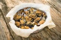 Gratinated Mussels dish Royalty Free Stock Photo