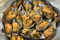 Gratinated Mussels dish Royalty Free Stock Photo